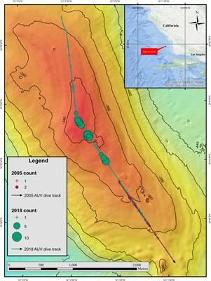 First Autonomous Underwater Vehicle Observations of a Potential Petrale Sole (Eopsetta jordani) Spawning Aggregation Off the US West Coast